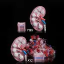 BAMBU LAB - H2C COMBO AVEC AMS - TAGin3D (1).webp